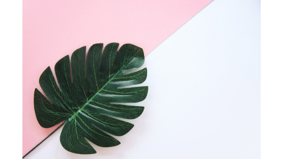 Benji & The Environment!